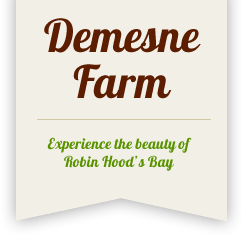 Demesne Farm Holiday Cottages