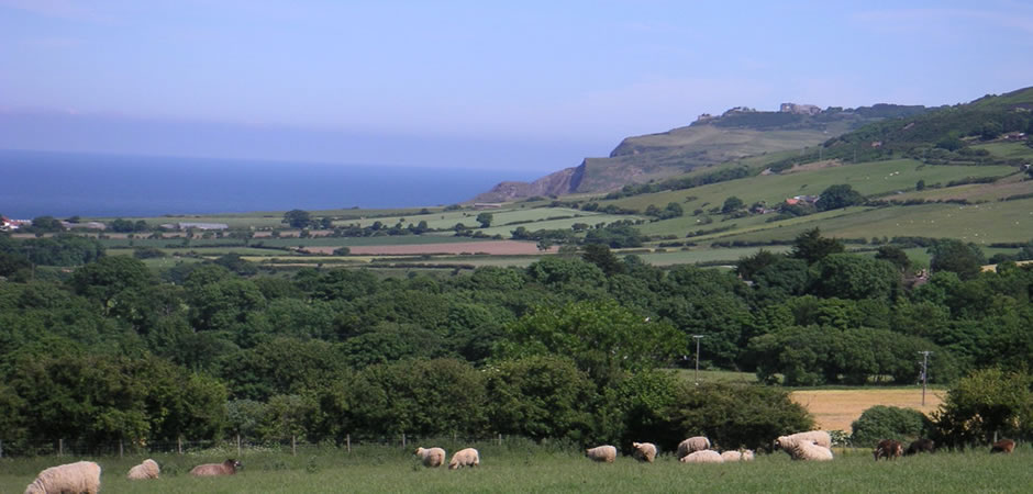 Demesne Farm Holiday Cottages